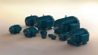 Weg electric motors 3D model from CGTradercom [upl. by Even]