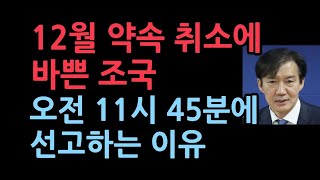 조국 대법원 선고가 내년 1월에 있을 줄 알고있다가선고시간이 11시 45분인 충격 이유 서정욱변호사 [upl. by Ranjiv]