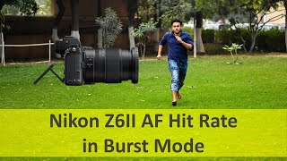 Nikon Z6II vs Z6 AF Accuracy Hit Rate in Burst Mode [upl. by Zielsdorf]