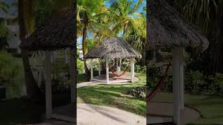 🇩🇴 Catalonia Bavaro Beach Punta Cana Dominican Rep 🌴shortsvideo shorts shortvideo travel [upl. by Cinda]