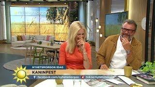 Jenny och Steffos fnissattack quotNäää kantareller är gula  du är orangequot  Nyhetsmorgon TV4 [upl. by Ynahpit839]