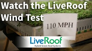 Green Roof Wind Test LiveRoof [upl. by Llennahc]