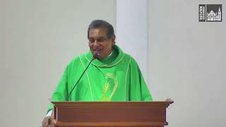 Homily Tamil  32nd Sunday in Ordinary Time [upl. by Shippee859]