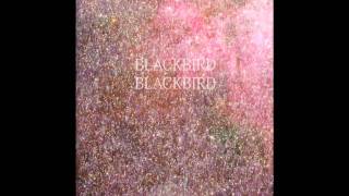 Blackbird Blackbird  Pure [upl. by Shaper]