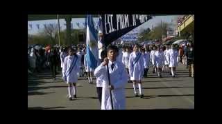 BICENTENARIO  Desfile Delegaciones Escolares [upl. by Adiaj733]