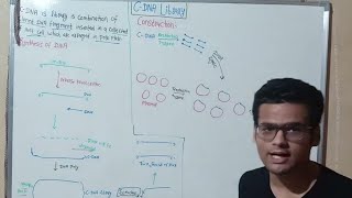 Construction Of Cdna Library  GenomicBioscience  Synthesis Of Cdna [upl. by Clausen]