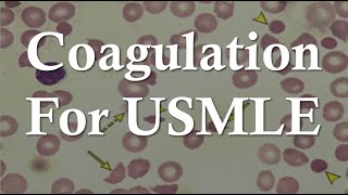 Hemostasis for USMLE Step 1  Platelet Plug Coagulation Cascade and Bleeding Disorders [upl. by Ydnahs]