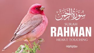 Surah ArRahman سورة الرحمن  Relaxing heart touching Silky voice  Nafiyah [upl. by Maida]