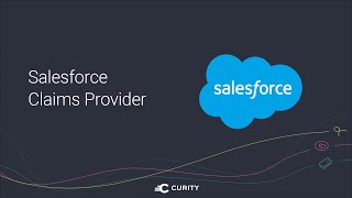 Salesforce Claims Provider [upl. by Crespi]