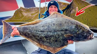 EXPLORING THE FISHING FOR DIFFERENT SPECIES IN NORTHERN NORWAY  Team Galant [upl. by Ninetta]