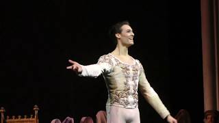 Hugo Marchand  Siegfrieds solo Act III  Swan LakeLe Lac des cygnes Choreography  Noureev [upl. by Aslin192]