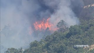 Bullsbrook Fire  9 News Perth [upl. by Betti967]