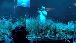 Tyler The Creator Performs Bimmer Rusty and Tamale Sacramento 4222 [upl. by Archer]