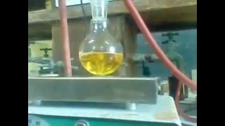 Lead Free Sodium Potassium Niobate Solution By SolGel Method [upl. by Nahamas479]