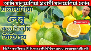 লেবু মালয়েশিয়ায় কত টাকায় বিক্রি হয়How much is lemon sold in Malaysiavlog vlogs travelvlog [upl. by Luemas649]