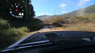 Imbil Forest Rally 2024 SS5 Branch [upl. by Dosia]