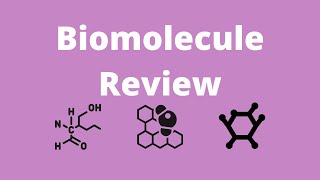 Biomolecule Review [upl. by Cinnamon]