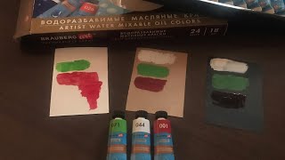 WATER MIXABLE OIL COLORS BRAUBERG ART  ВОДОРАЗБАВИМЫЕ МАСЛЯНЫЕ КРАСКИ ОТ БРАУБЕРГ ПРЕМИАЛЬНАЯ СЕРИЯ [upl. by Enilkcaj]