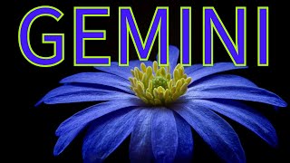 GEMINI TWIN FLAME LOVE READING AUGUST 2024 [upl. by Nuahs]