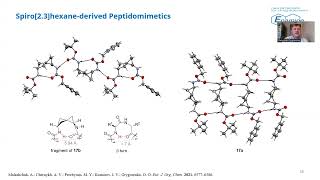 Recent advances on unnatural amino acids and their analogs at Enamine [upl. by Ynabla]