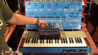 ARP 2600 Blue Meanie amp Doepfer Dark Time [upl. by Malkah]