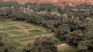 A beautiful oasis in Morocco [upl. by Eerac]