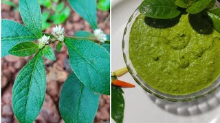 sessile joyweed chutney ಹೊನೆಗೊನೆ ಚಟ್ನಿ  ponnankannikkira chammandhiaati special [upl. by Popelka]