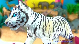 Learn about Wild Animals Baby Animals Kids Toys  Educational [upl. by Norahs311]