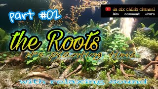 the roots aquascape  planting time part 02  with nature relaxing sound [upl. by Fernande]