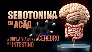 Serotonina o que você precisa saber sobre ela [upl. by Hachman]