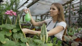 Attractive woman gardener in apron watering plants and flowers with garden sprayer in greenhouse [upl. by Anayek]