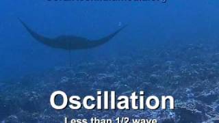 Undulation vs Oscillation [upl. by Ille]