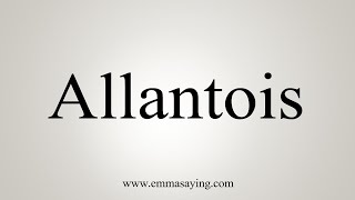 How To Say Allantois [upl. by Eniad199]