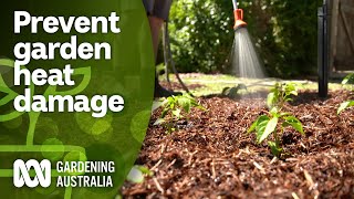 5 strategies to prevent heat damage to your garden in summer  Gardening Hacks  Gardening Australia [upl. by Etnoved918]