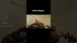 Golden Slippers Trad played by Derek Wilson [upl. by Anatole]