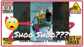 quotWhat The Hell Is A SHOO SHOOquot Karen vs The Power Washer Showdown [upl. by Ahselet]