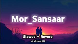 mor Sansaar ma cg song lyrics Slowed Reverb songs for✨ [upl. by Yrhcaz]