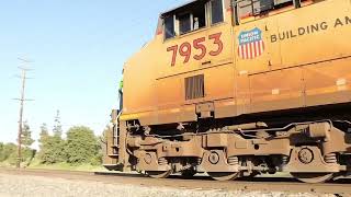 Evening catches by Hagle lumberyard in Camarillo CA [upl. by Salisbury]