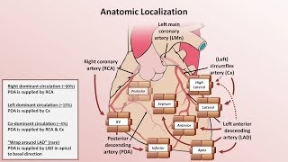 Intro to EKG Interpretation  Myocardial Infarctions Part 1 of 2 [upl. by Dammahom]