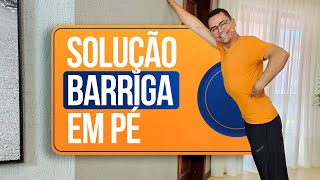 ⭐ DIMINUA A BARRIGA solução FÁCIL em CASA  Abdominal em pé para iniciantes  Aurélio Alfieri [upl. by Suirtimid]