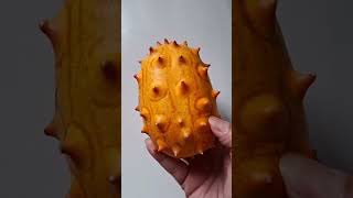 Horned Melon [upl. by Ydnahs]