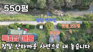 힐링주택할머니가 혼자 가꾼 사연 있는 주택 명당터 [upl. by Auqenehs]