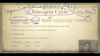 UPSC IAS High Yield Series Environment and Ecology Part 18 Biogeochemical Cycles IAS Preparation [upl. by Gillespie]