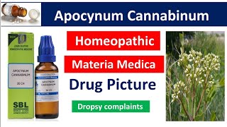 Apocynum Cannabinum Homeopathic Medicine  Drug Picture  Materia Medica bhms [upl. by Amesari]