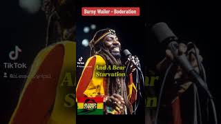 Burny wailer  Boderation reggaemusic reggae thewailers reggaevibes [upl. by Deegan708]