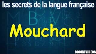 Les Secrets De La Langue Française  Mouchard [upl. by Lak]