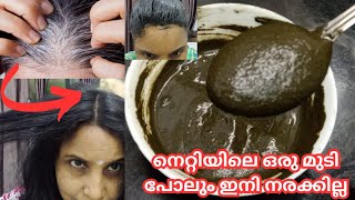 ഇതു പോലെ നരക്കുറക്കാൻ ഒരു തവണ തേച്ചു നോക്കൂhow to make homemade black henna [upl. by Ineslta313]