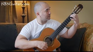 Waltz in E minor  Carulli  Acoustic Guitar Lesson  NBN Guitar [upl. by Eivla]