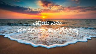 cheliya ninu chudakunda song lyrics sampangi movie 🤎🤎🤎 teluguvideosongs telugulyrics [upl. by Pius]