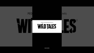 Wild Tales 2014  Harsh Arora talks shorts [upl. by Damek]